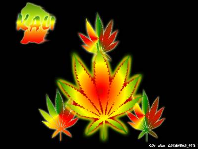 @Maka@